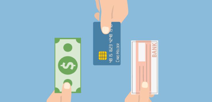 我国普氏野马数量超900匹